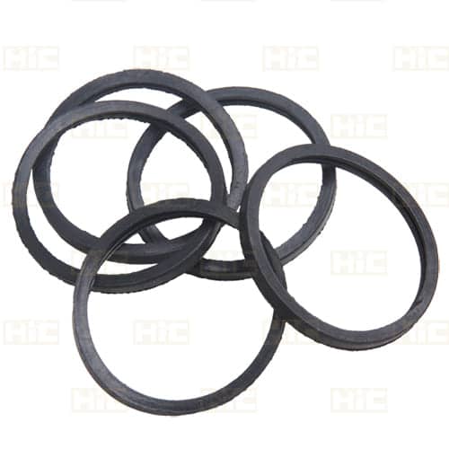 اورینگ ترموستات پژو 405 (NBR) اچ آی سی